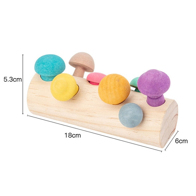 Wooden Rainbow Blocks